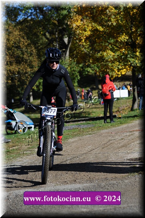 Náhled obrázku: 2024-11460-Bedrichov-.JPG