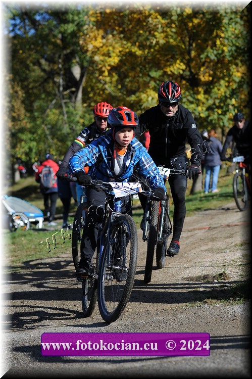 Náhled obrázku: 2024-11474-Bedrichov-.JPG