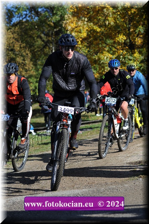 Náhled obrázku: 2024-11476-Bedrichov-.JPG