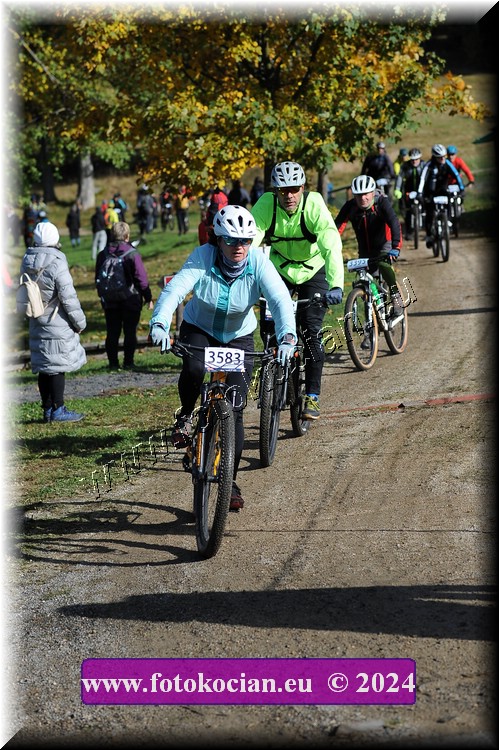 Náhled obrázku: 2024-11600-Bedrichov-.JPG