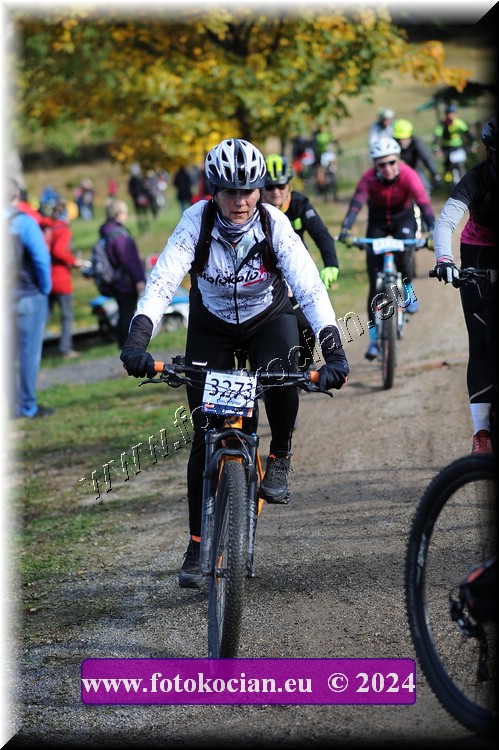 Náhled obrázku: 2024-11653-Bedrichov-.JPG