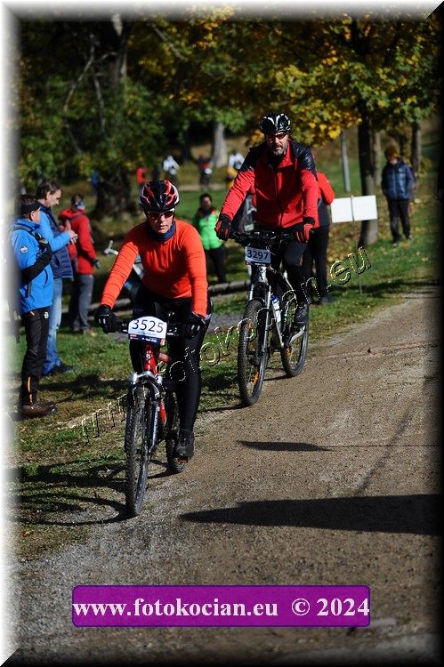 Náhled obrázku: 2024-11905-Bedrichov-.JPG