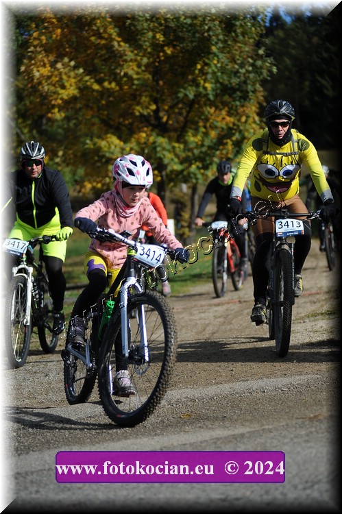 Náhled obrázku: 2024-11967-Bedrichov-.JPG