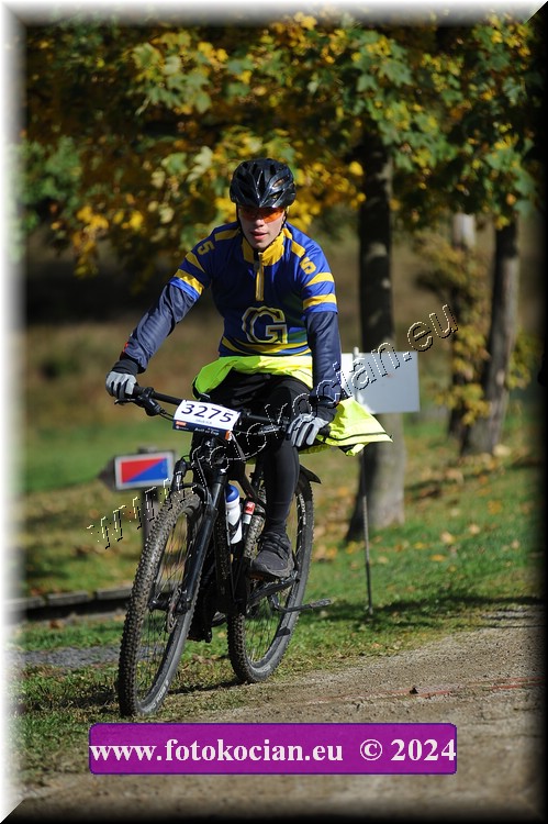 Náhled obrázku: 2024-11973-Bedrichov-.JPG