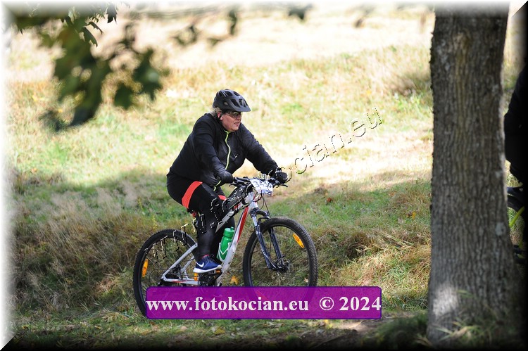 Náhled obrázku: 2024-12003-Bedrichov-.JPG