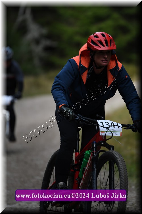 Náhled obrázku: 2024-9099-Bedrichov-1341.JPG