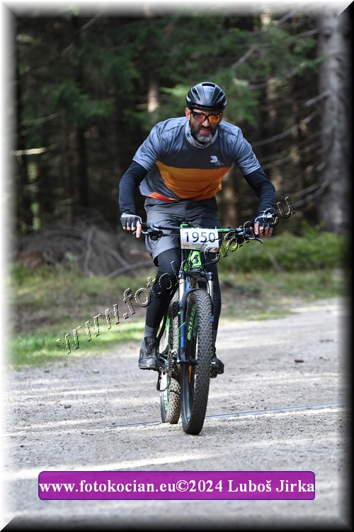 Náhled obrázku: 2024-9170-Bedrichov-1950.JPG