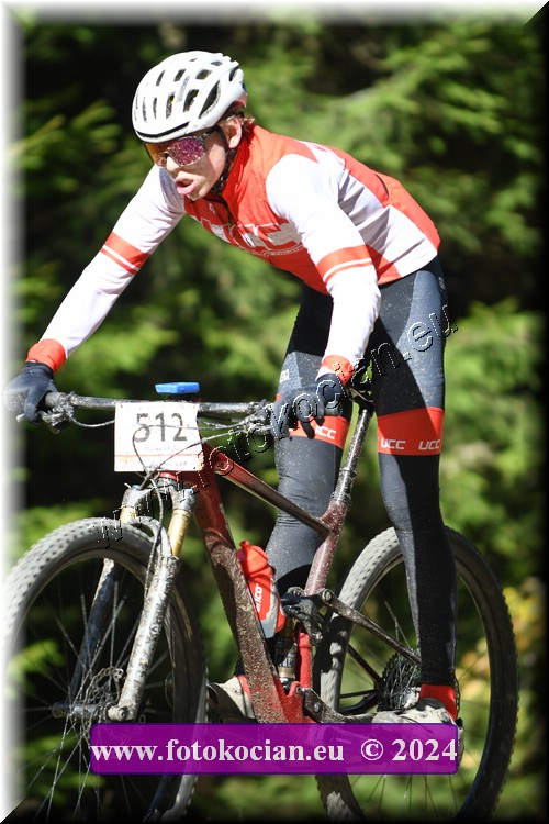 Náhled obrázku: 2024-1027-Bedrichov-512.JPG