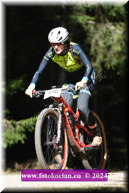 Náhled obrázku: 2024-1212-Bedrichov-530.JPG