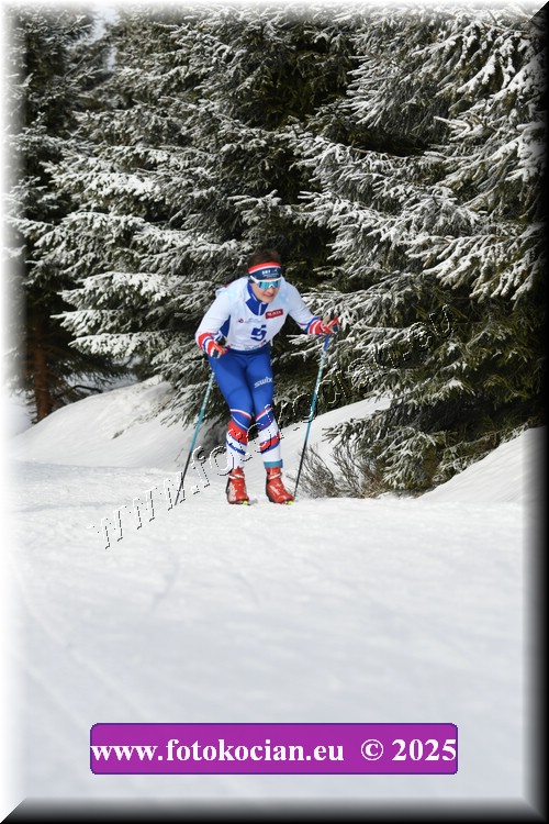 Náhled obrázku: 2025-1201-Orlicky-zavod-5.JPG