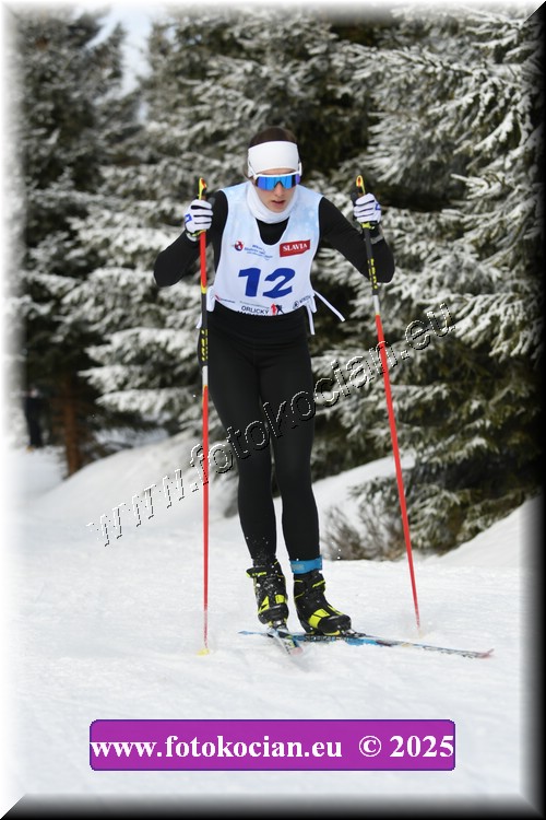 Náhled obrázku: 2025-1212-Orlicky-zavod-12.JPG