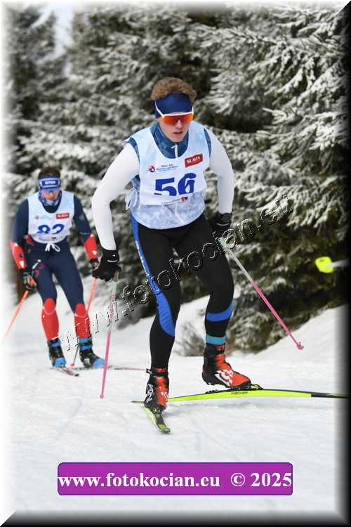 Náhled obrázku: 2025-1220-Orlicky-zavod-56.JPG