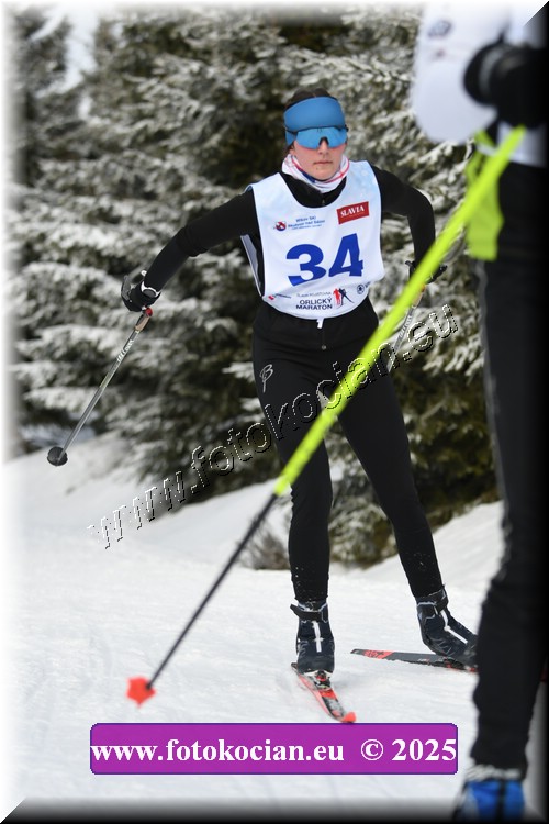 Náhled obrázku: 2025-1311-Orlicky-zavod-34.JPG