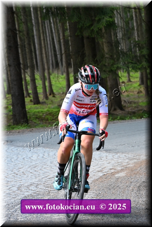 Náhled obrázku: 2025-1243-Brdy.JPG