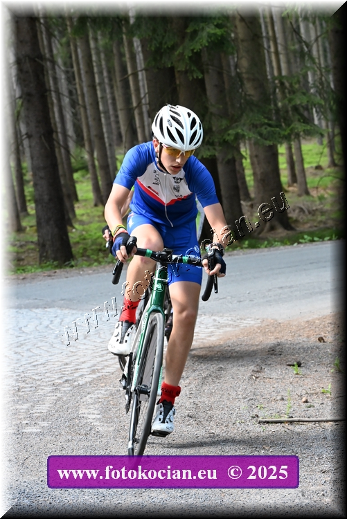 Náhled obrázku: 2025-1250-Brdy.JPG