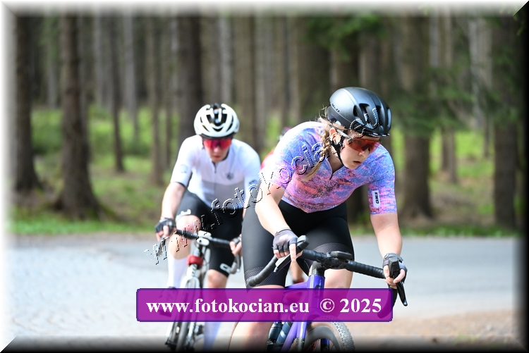 Náhled obrázku: 2025-1264-Brdy.JPG