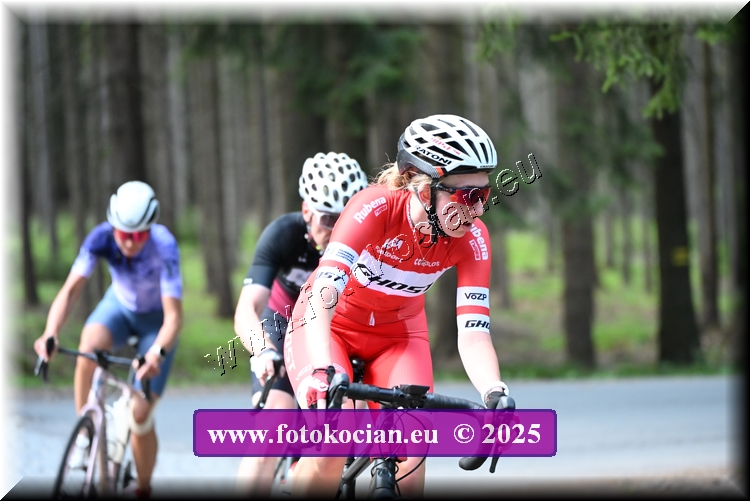 Náhled obrázku: 2025-1279-Brdy.JPG