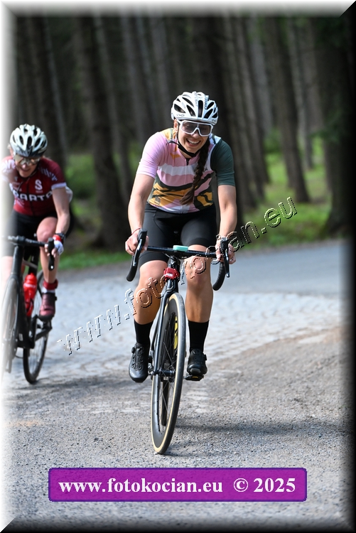 Náhled obrázku: 2025-1304-Brdy.JPG