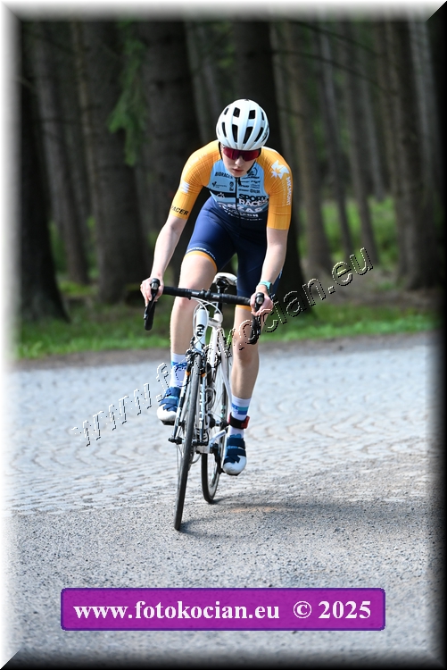 Náhled obrázku: 2025-1309-Brdy.JPG