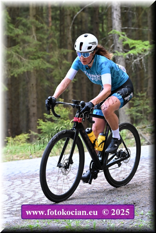 Náhled obrázku: 2025-1403-Brdy.JPG