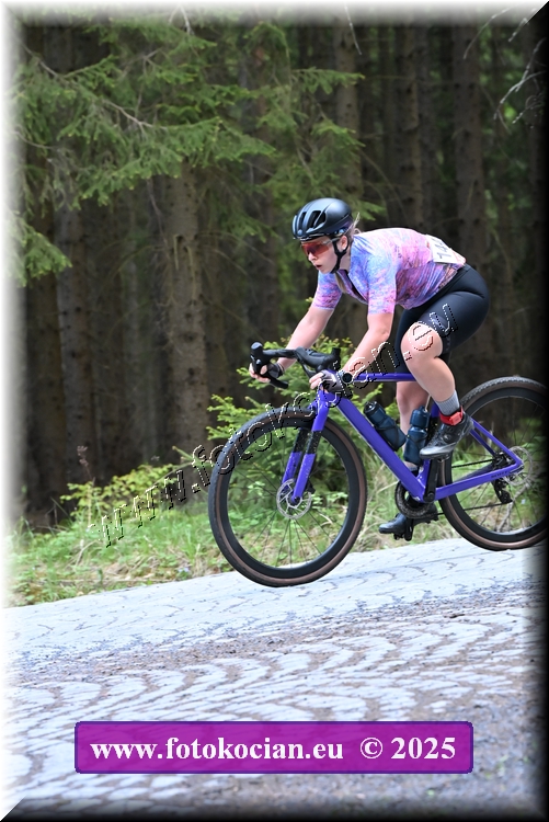 Náhled obrázku: 2025-1426-Brdy.JPG