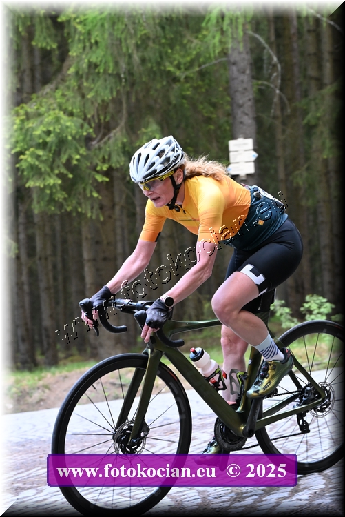 Náhled obrázku: 2025-1433-Brdy.JPG