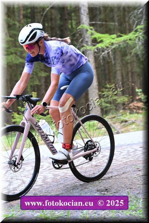 Náhled obrázku: 2025-1447-Brdy.JPG