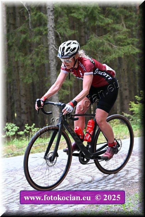 Náhled obrázku: 2025-1468-Brdy.JPG