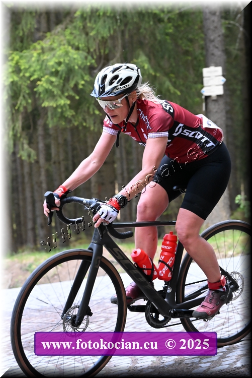 Náhled obrázku: 2025-1469-Brdy.JPG