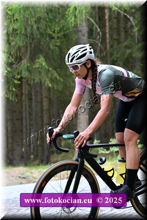 Náhled obrázku: 2025-1479-Brdy.JPG