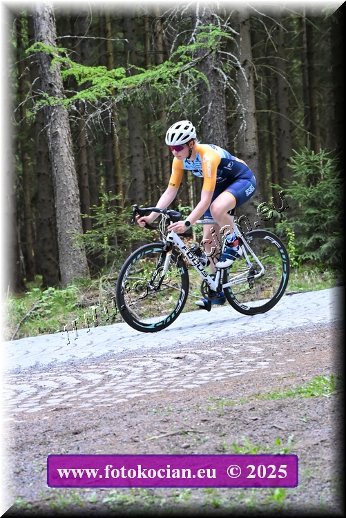 Náhled obrázku: 2025-1488-Brdy.JPG