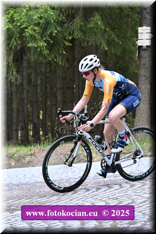 Náhled obrázku: 2025-1489-Brdy.JPG