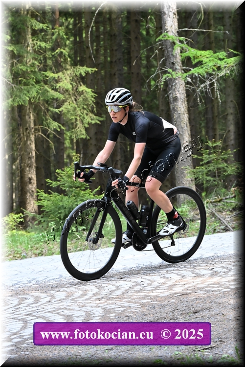 Náhled obrázku: 2025-1503-Brdy.JPG