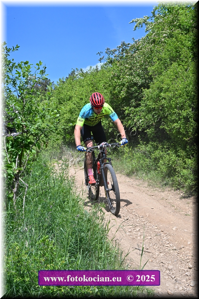 Náhled obrázku: 2025-1348-Most-73.JPG