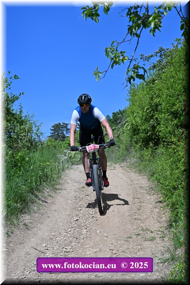 Náhled obrázku: 2025-1366-Most-547.JPG