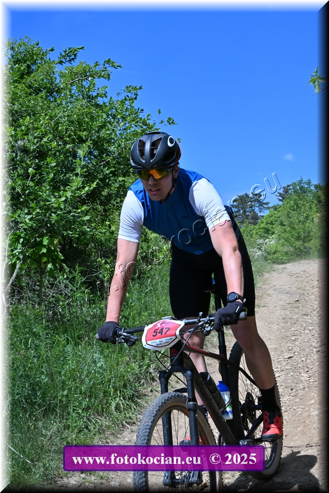 Náhled obrázku: 2025-1367-Most-547.JPG