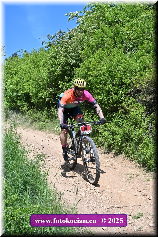 Náhled obrázku: 2025-1379-Most-688.JPG