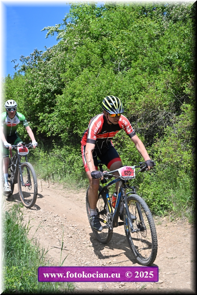 Náhled obrázku: 2025-1383-Most-620.JPG