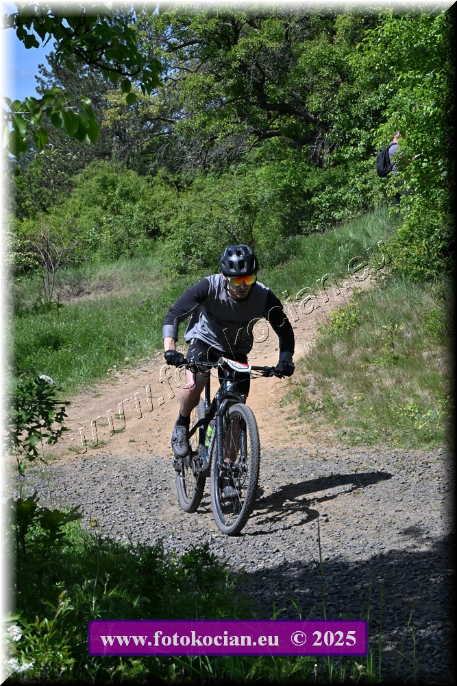 Náhled obrázku: 2025-1390-Most-679.JPG