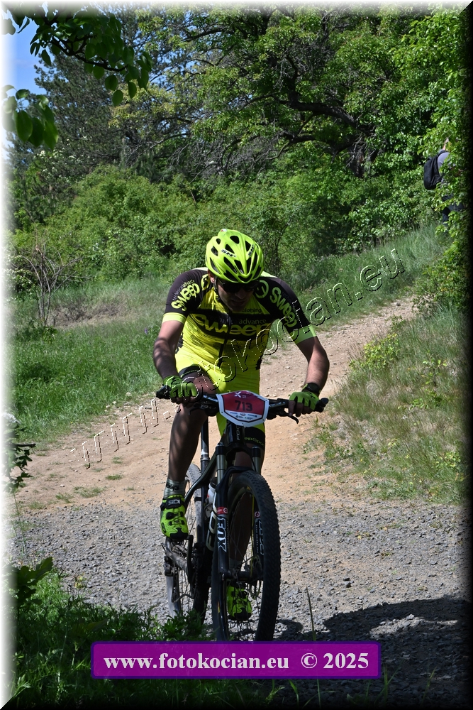 Náhled obrázku: 2025-1393-Most-713.JPG