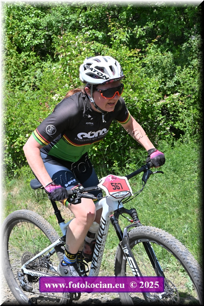 Náhled obrázku: 2025-1435-Most-567.JPG