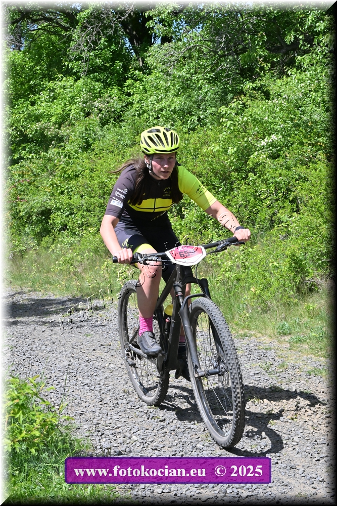 Náhled obrázku: 2025-1475-Most-659.JPG