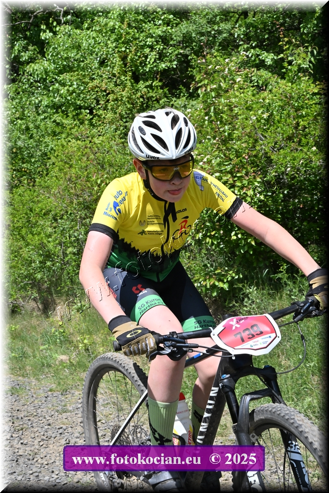 Náhled obrázku: 2025-1518-Most-739.JPG