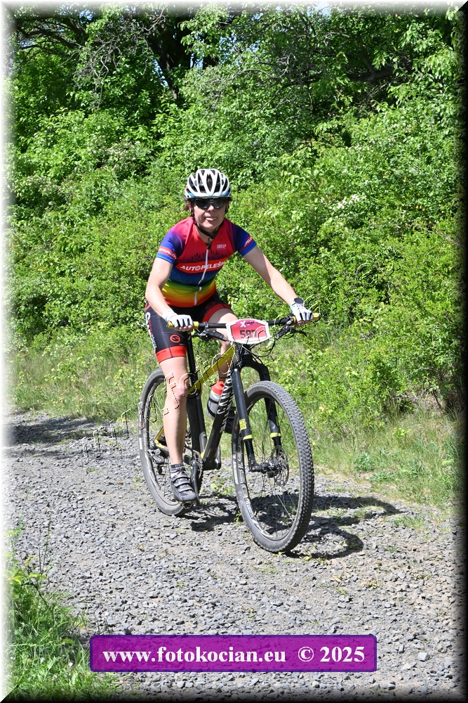 Náhled obrázku: 2025-1553-Most-587.JPG