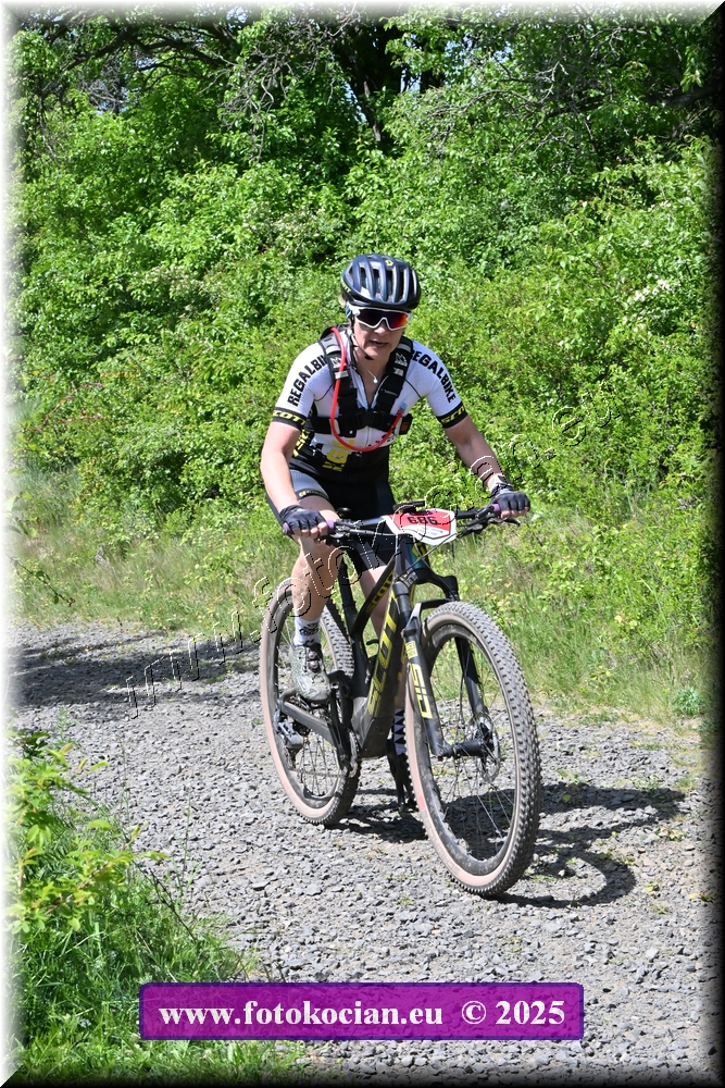 Náhled obrázku: 2025-1597-Most-686.JPG