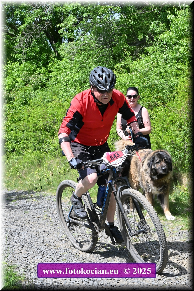 Náhled obrázku: 2025-1608-Most-643.JPG