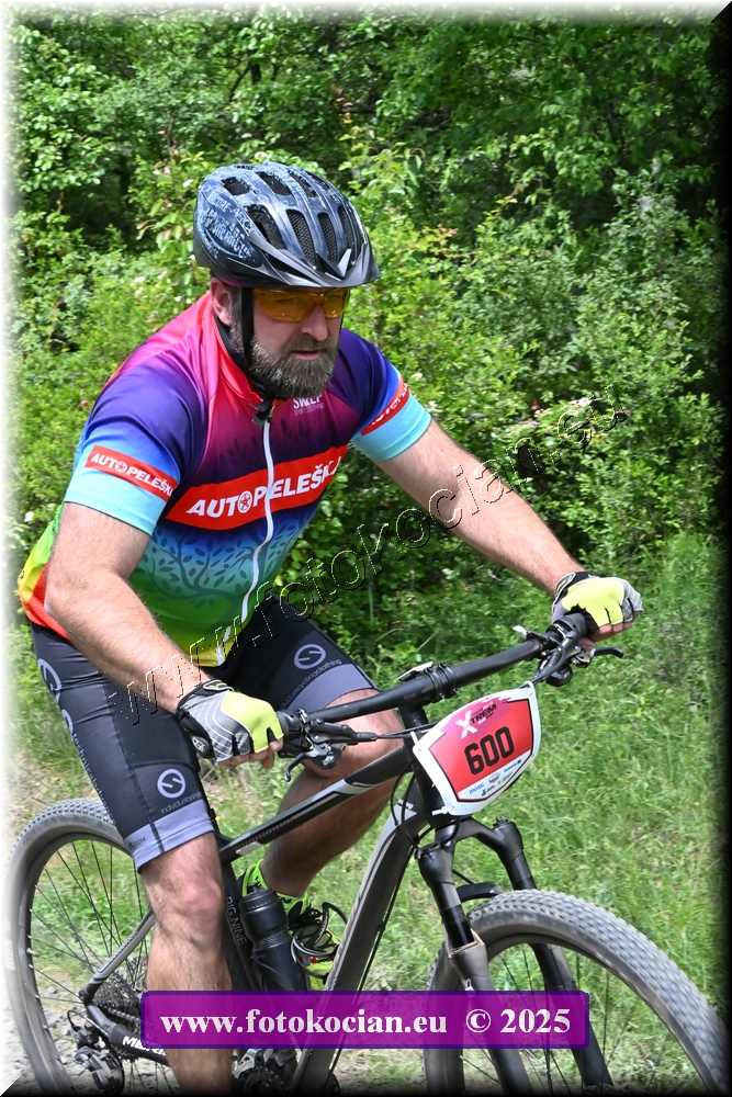 Náhled obrázku: 2025-1743-Most-600.JPG