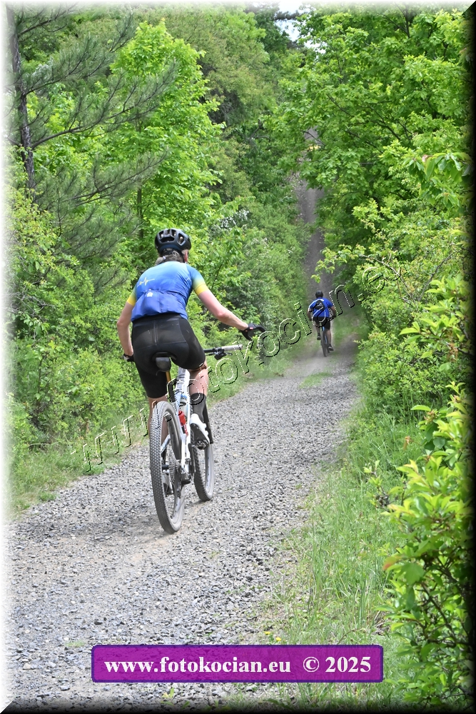 Náhled obrázku: 2025-1775-Most-39.JPG