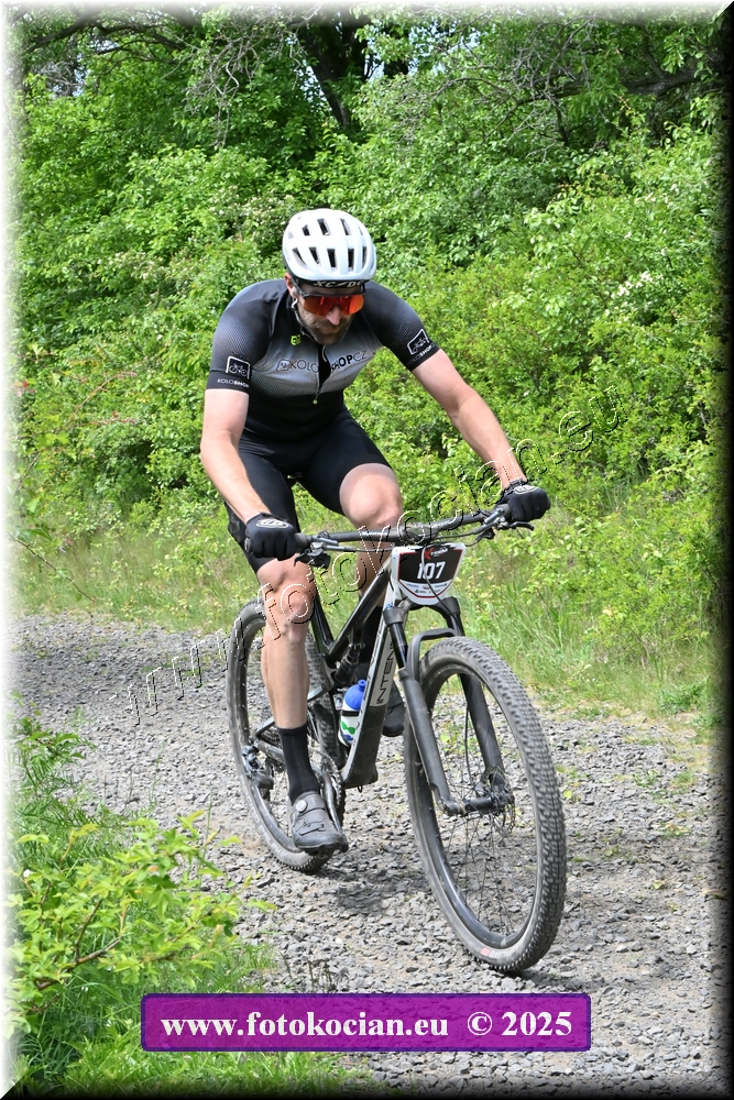 Náhled obrázku: 2025-1815-Most-107.JPG