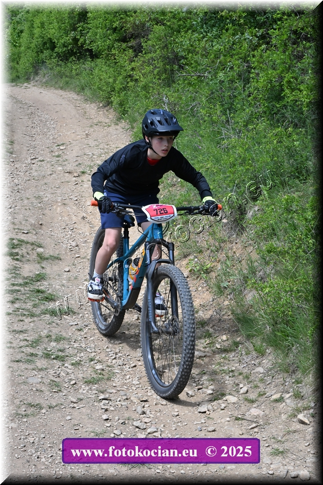 Náhled obrázku: 2025-1835-Most-726.JPG